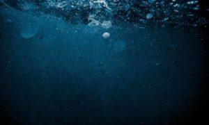 lake-underwater-1300px (1) lake-underwater-1300px (1)