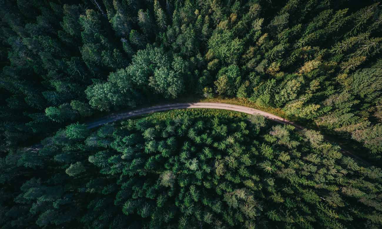 forest-drone-road-1300px (1) forest-drone-road-1300px (1)